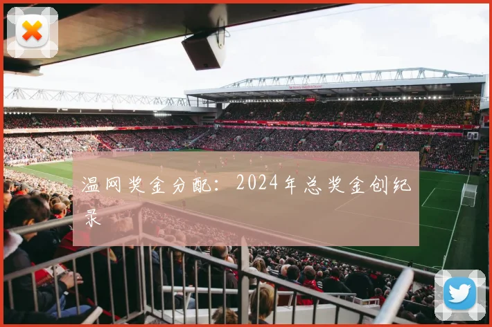 温网奖金分配:2024年总奖金创纪录