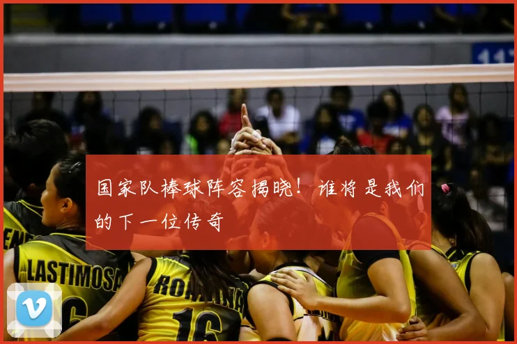 国家队棒球阵容揭晓!谁将是我们的下一位传奇