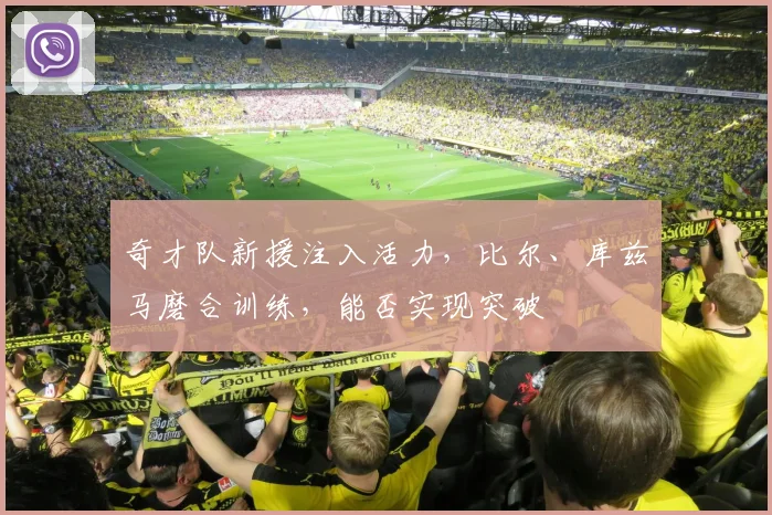 奇才队新援注入活力,比尔、库兹马磨合训练,能否实现突破